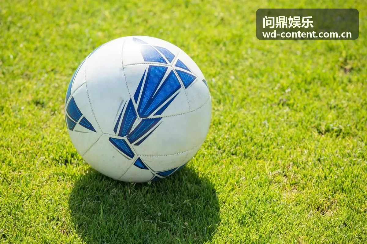 问鼎娱乐会员权益展示